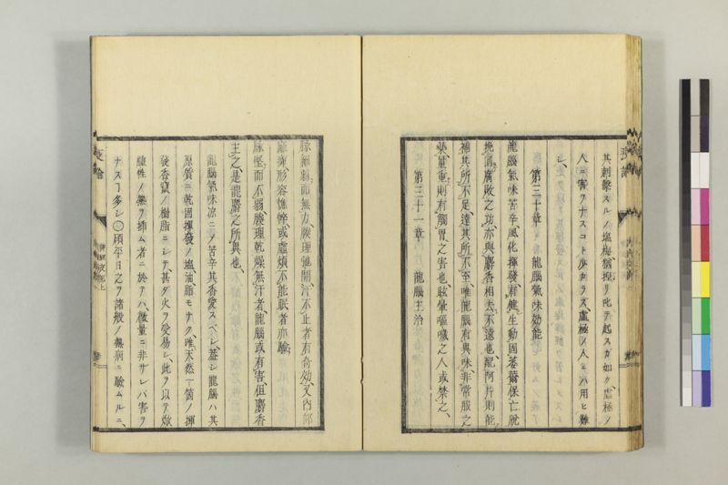 泰西疫論 前編(神経疫部上・下) - ページ 41
