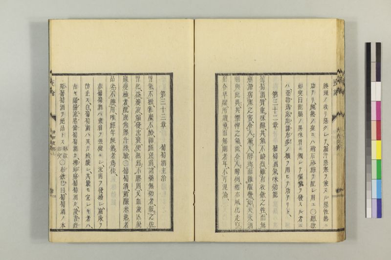 泰西疫論 前編(神経疫部上・下) - ページ 42