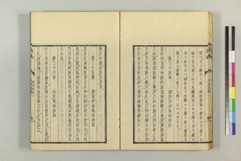 泰西疫論 前編(神経疫部上・下) - ページ 43