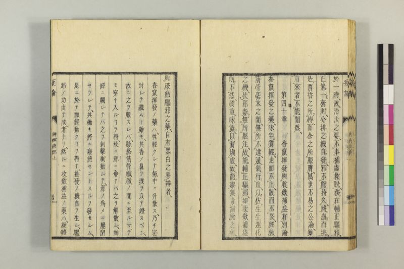 泰西疫論 前編(神経疫部上・下) - ページ 45