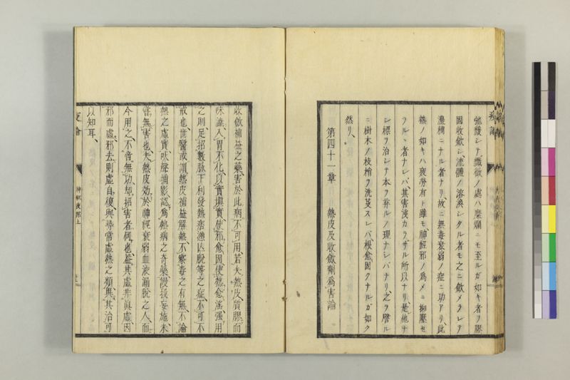 泰西疫論 前編(神経疫部上・下) - ページ 46