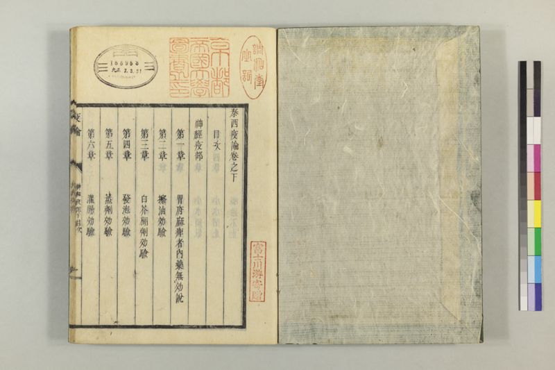 泰西疫論 前編(神経疫部上・下) - ページ 50