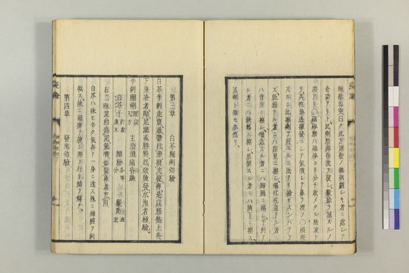 泰西疫論 前編(神経疫部上・下) - ページ 56