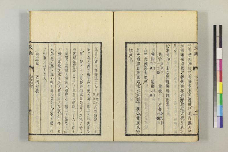 泰西疫論 前編(神経疫部上・下) - ページ 57