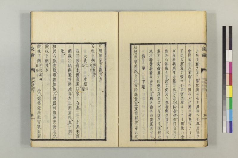 泰西疫論 前編(神経疫部上・下) - ページ 64