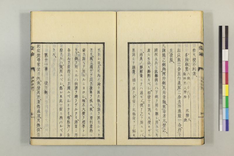 泰西疫論 前編(神経疫部上・下) - ページ 65