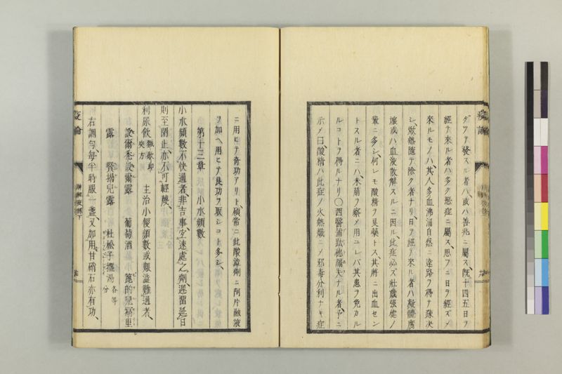 泰西疫論 前編(神経疫部上・下) - ページ 68