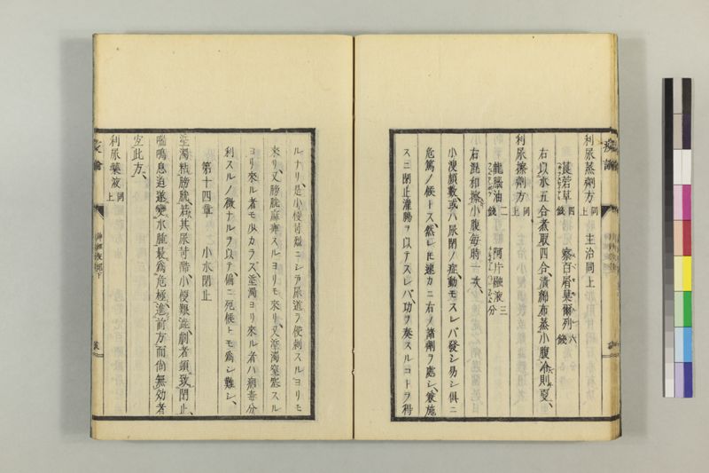 泰西疫論 前編(神経疫部上・下) - ページ 69