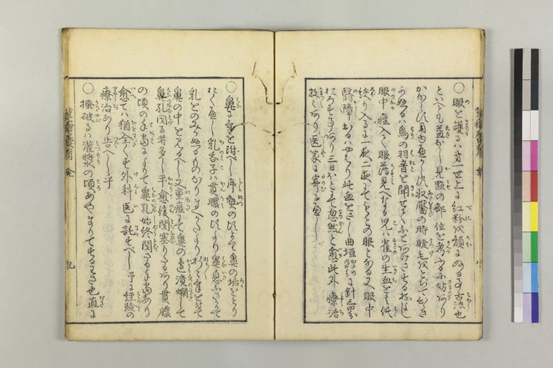 荳瘡養育 - ページ 12