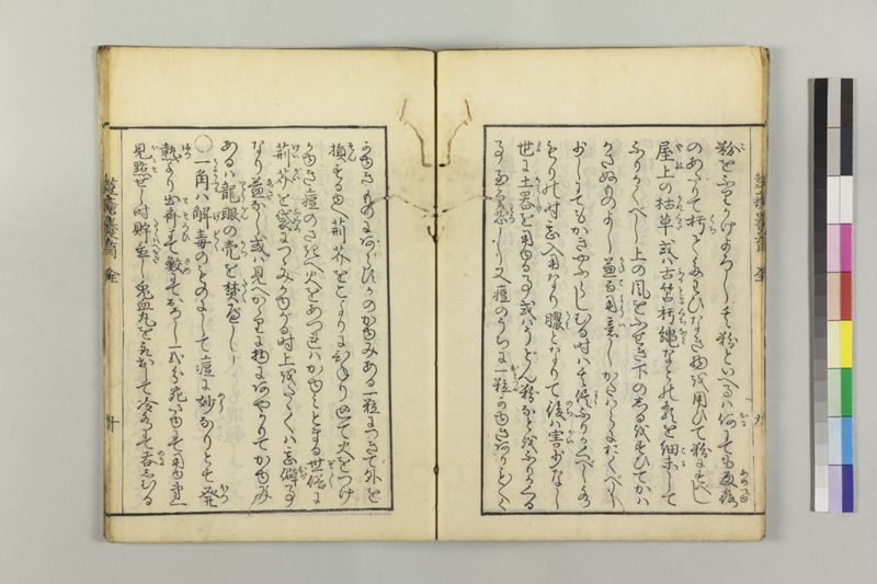 荳瘡養育 - ページ 13