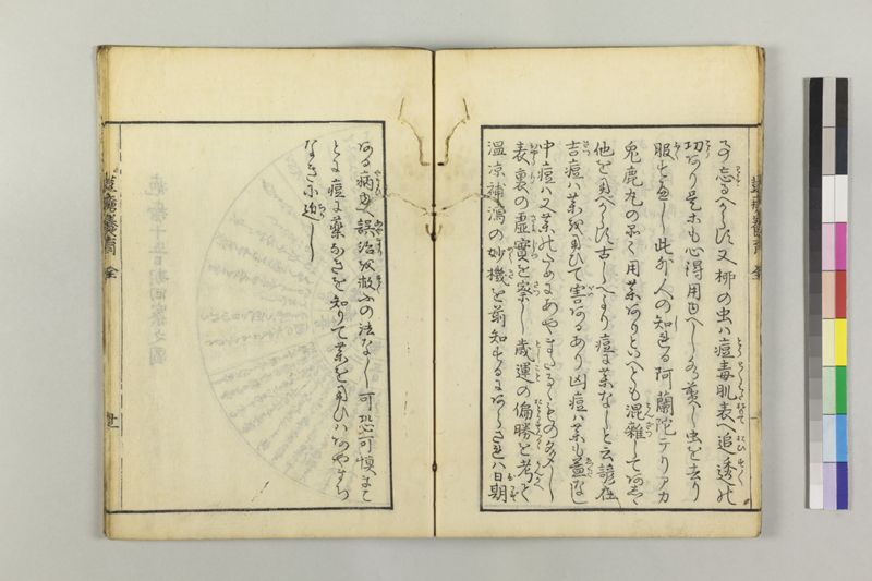 荳瘡養育 - ページ 14