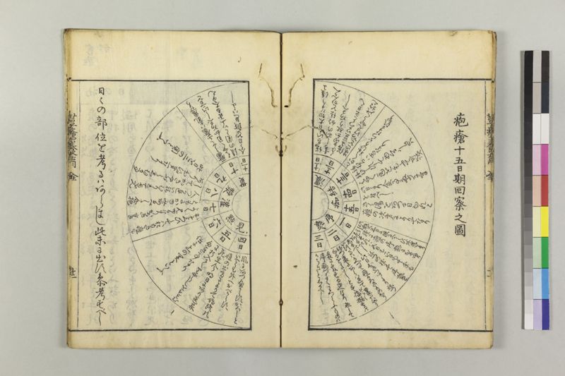荳瘡養育 - ページ 15