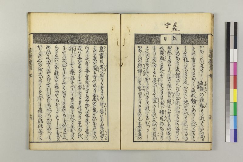 荳瘡養育 - ページ 18