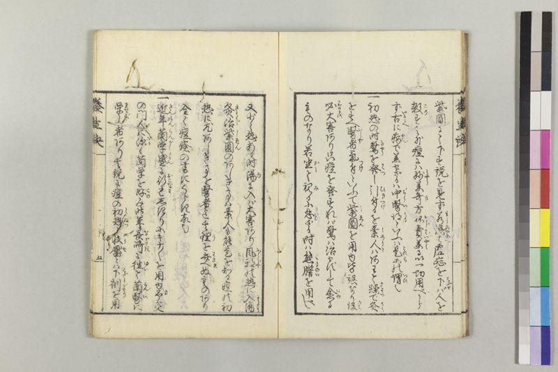 痘瘡養生訣 - ページ 10