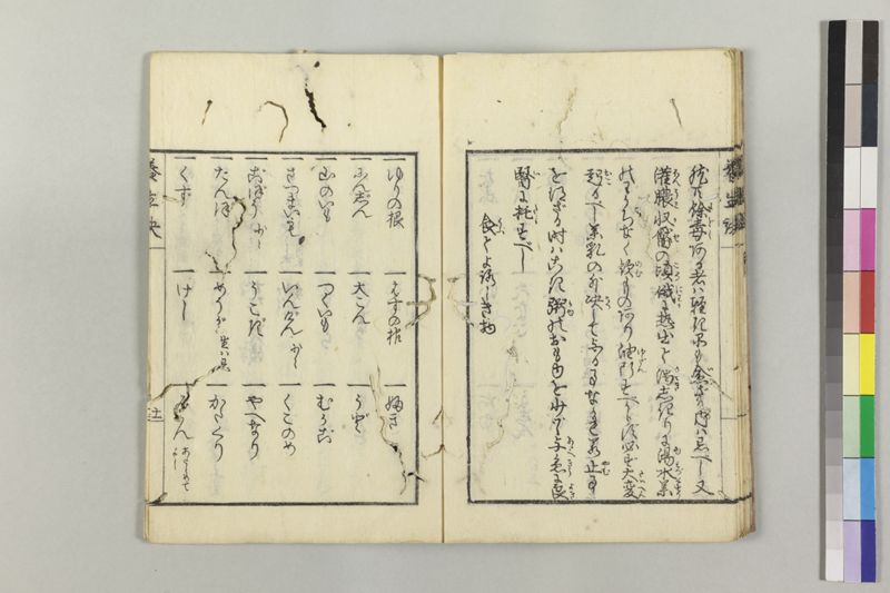 痘瘡養生訣 - ページ 16