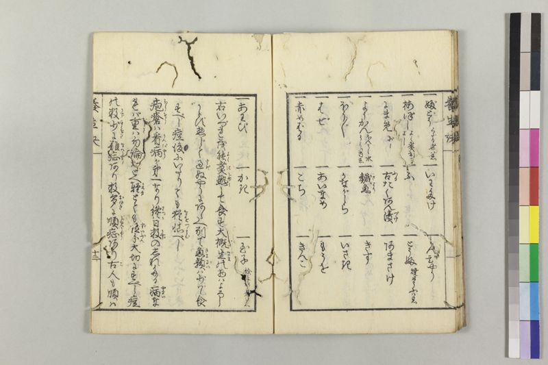 痘瘡養生訣 - ページ 17