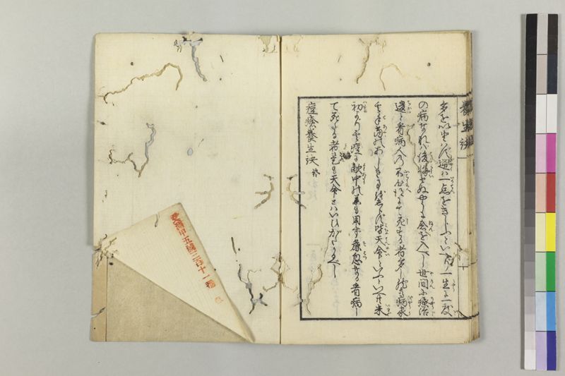 痘瘡養生訣 - ページ 19