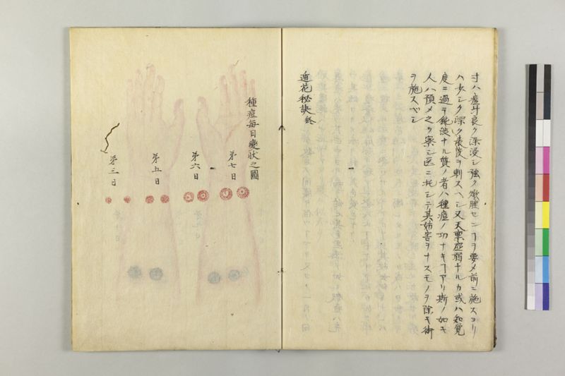 遁花秘訣 2巻 - ページ 29