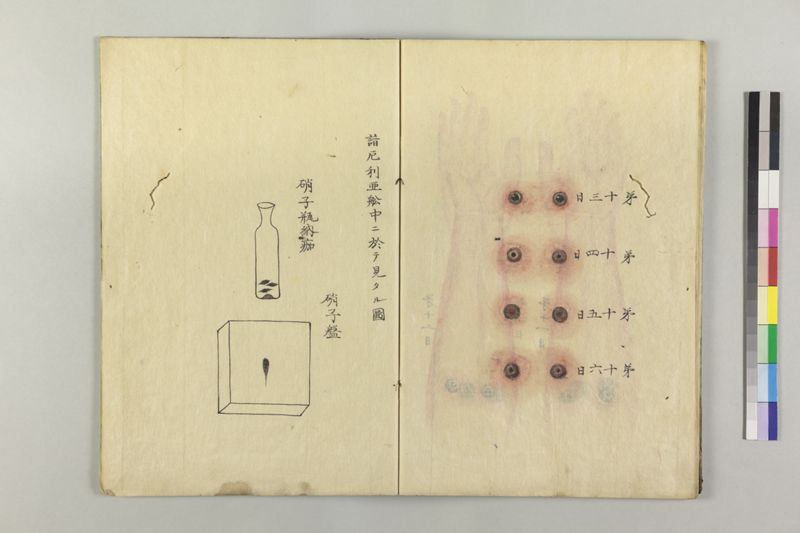 遁花秘訣 2巻 - ページ 31