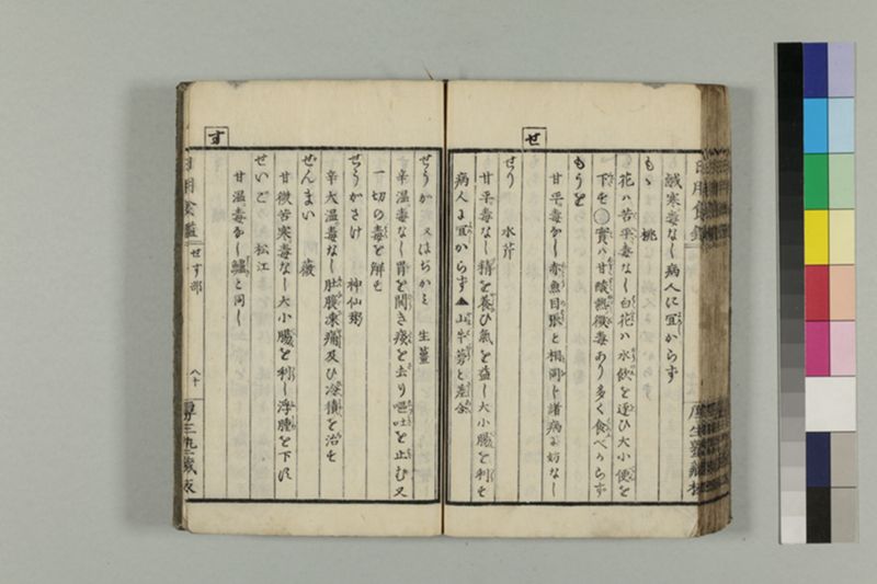 日養食かゝみ - ページ 85