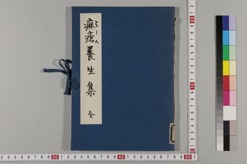 麻瘡養生集 - ページ 1