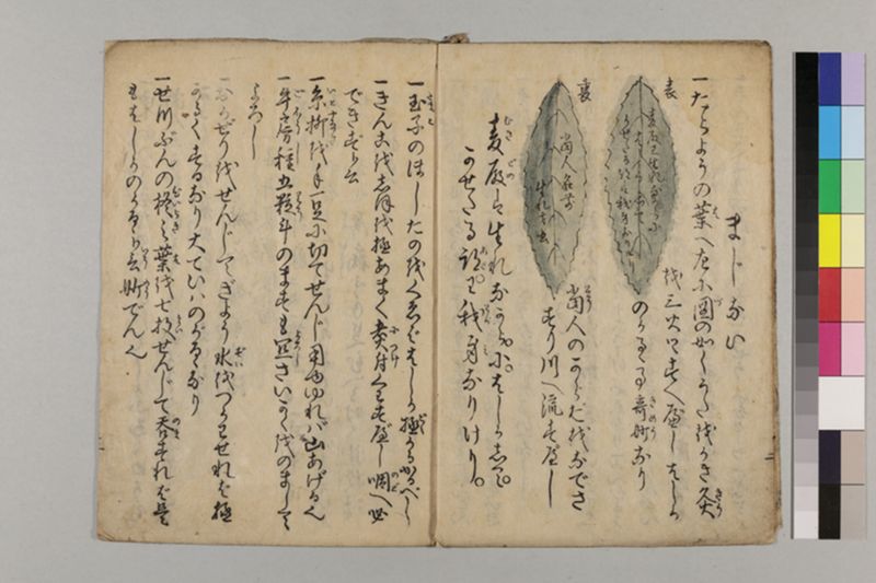 麻瘡養生集 - ページ 6