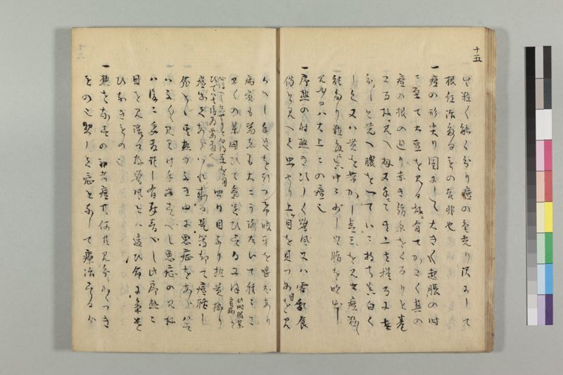 疱瘡看病式 - ページ 19