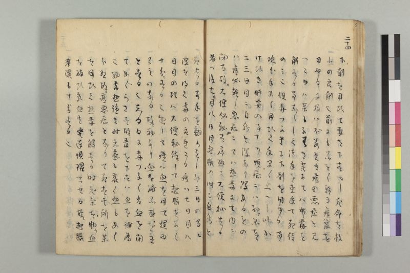 疱瘡看病式 - ページ 28