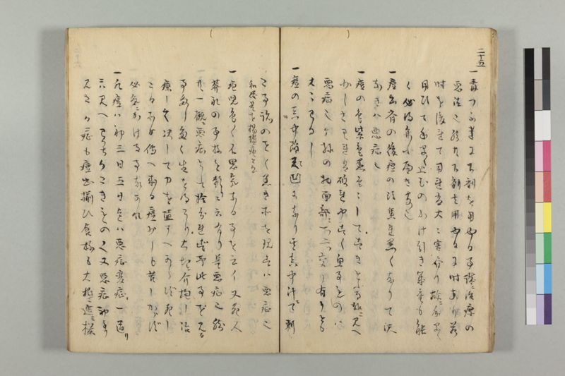 疱瘡看病式 - ページ 29