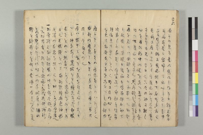 疱瘡看病式 - ページ 30