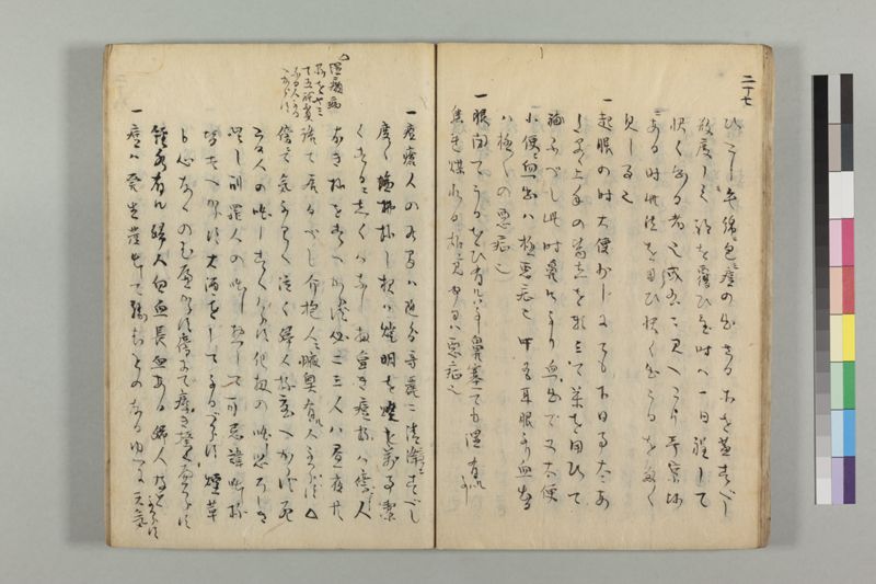 疱瘡看病式 - ページ 31