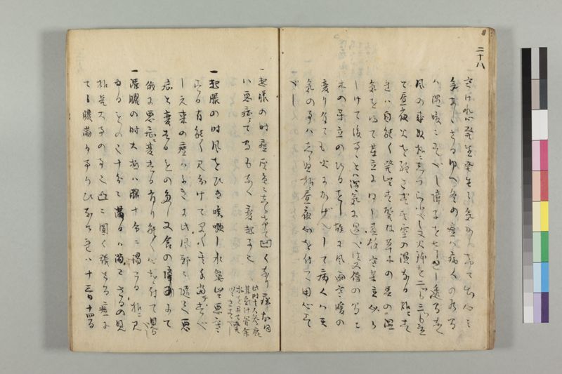 疱瘡看病式 - ページ 32