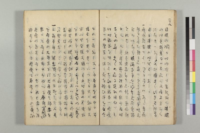 疱瘡看病式 - ページ 33