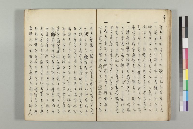 疱瘡看病式 - ページ 43