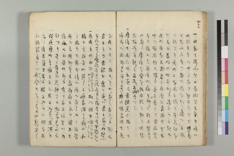 疱瘡看病式 - ページ 46