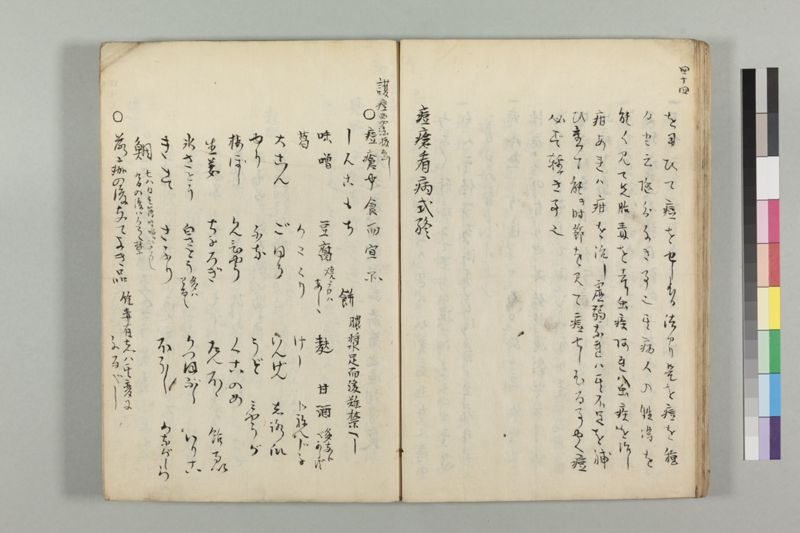 疱瘡看病式 - ページ 48