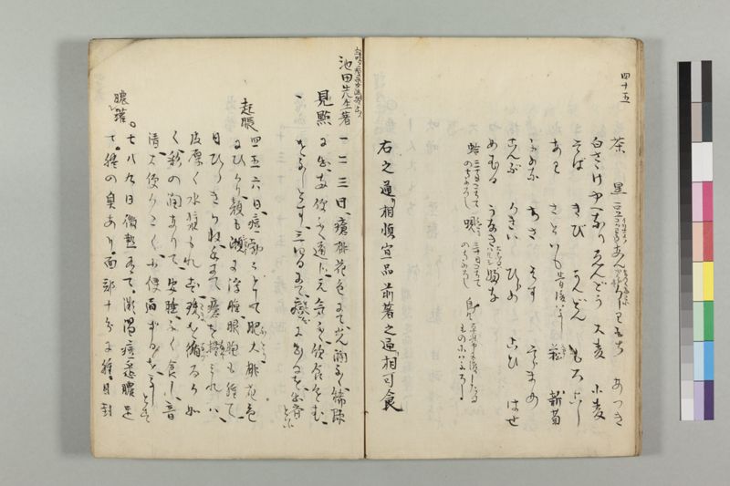 疱瘡看病式 - ページ 49