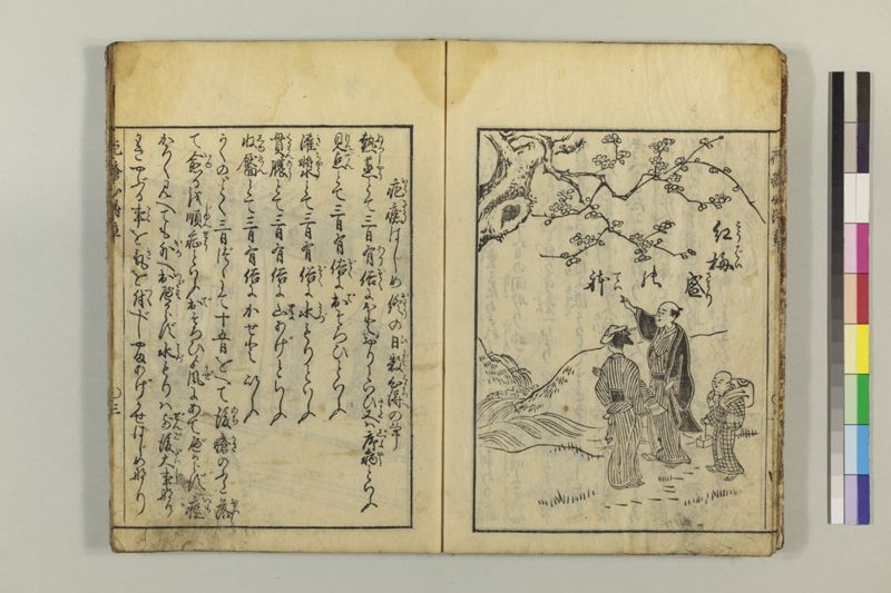 疱瘡心得草 - ページ 8