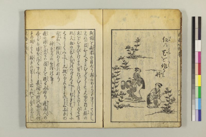 疱瘡心得草 - ページ 11