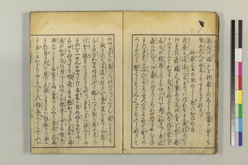 疱瘡心得草 - ページ 20