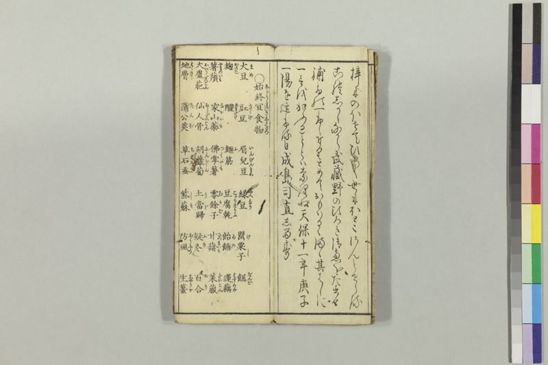 疱瘡食物考 - ページ 6