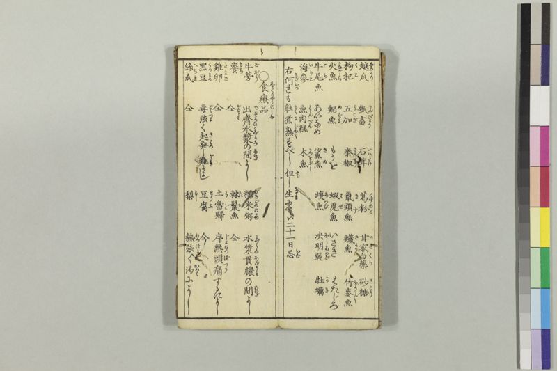 疱瘡食物考 - ページ 7