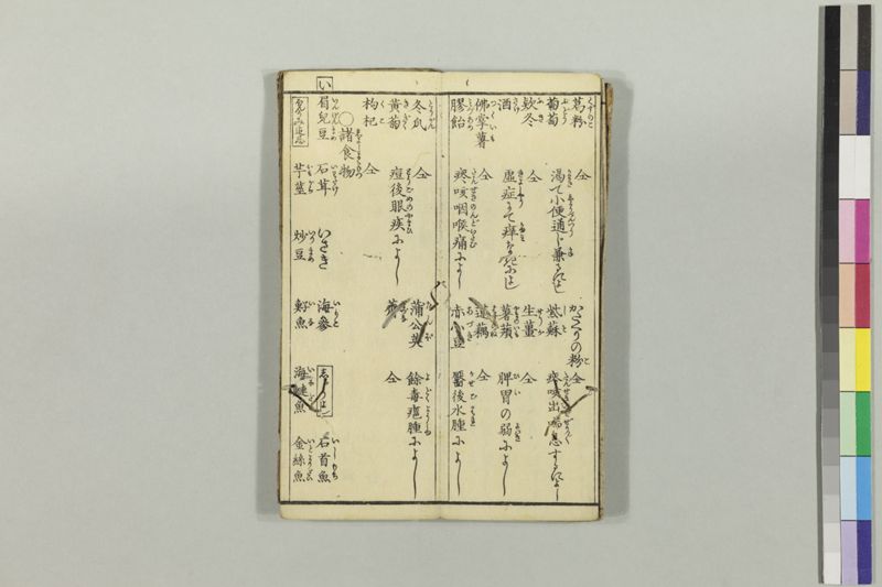 疱瘡食物考 - ページ 8