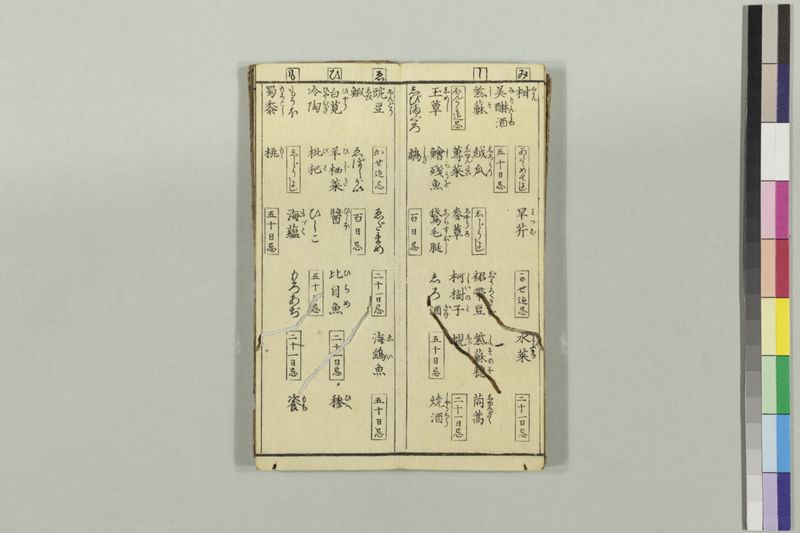 疱瘡食物考 - ページ 15