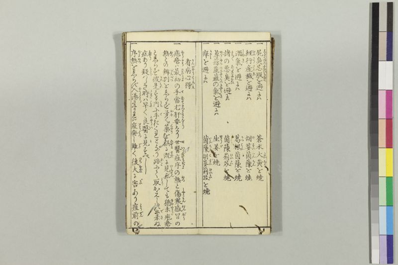 疱瘡食物考 - ページ 18