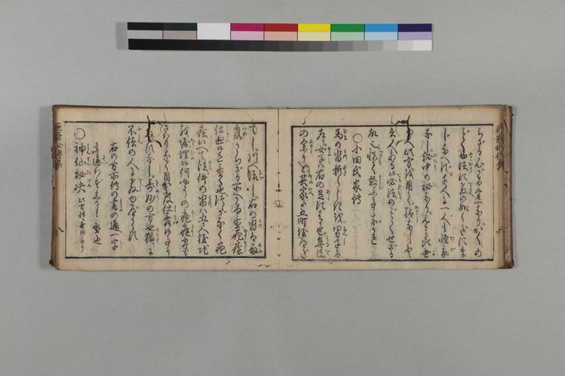 疱瘡厭勝秘伝集 - ページ 12