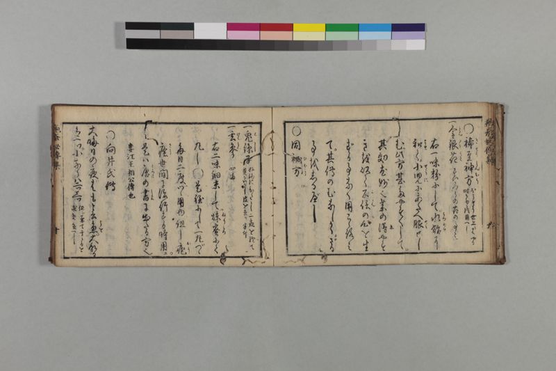 疱瘡厭勝秘伝集 - ページ 14