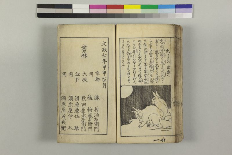 麻疹必用 - ページ 41