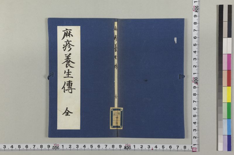 麻疹養生伝 - ページ 2
