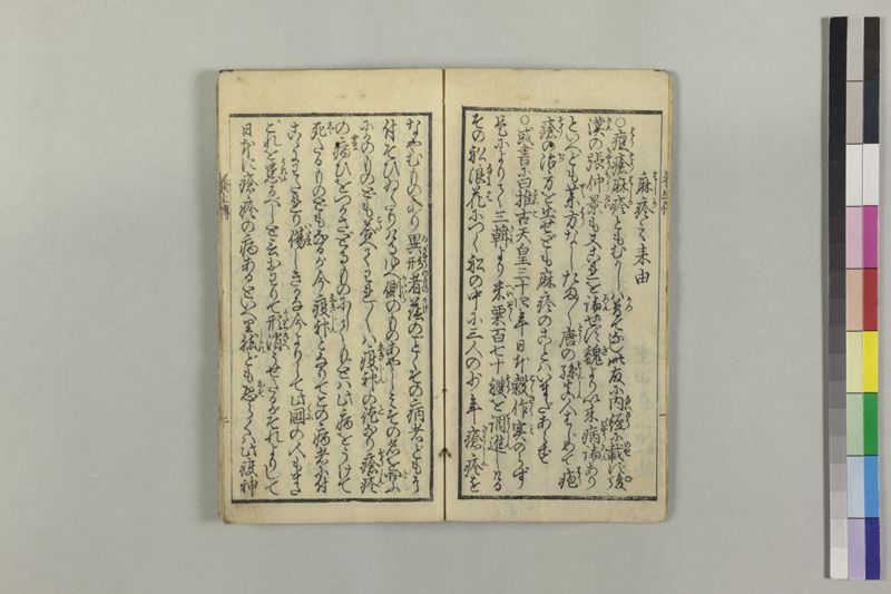 麻疹養生伝 - ページ 5